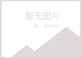 伊春伊春代梅机械有限公司